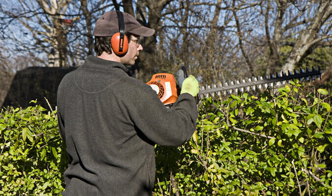 Homeowner trimming shrubs while wearing protective gear