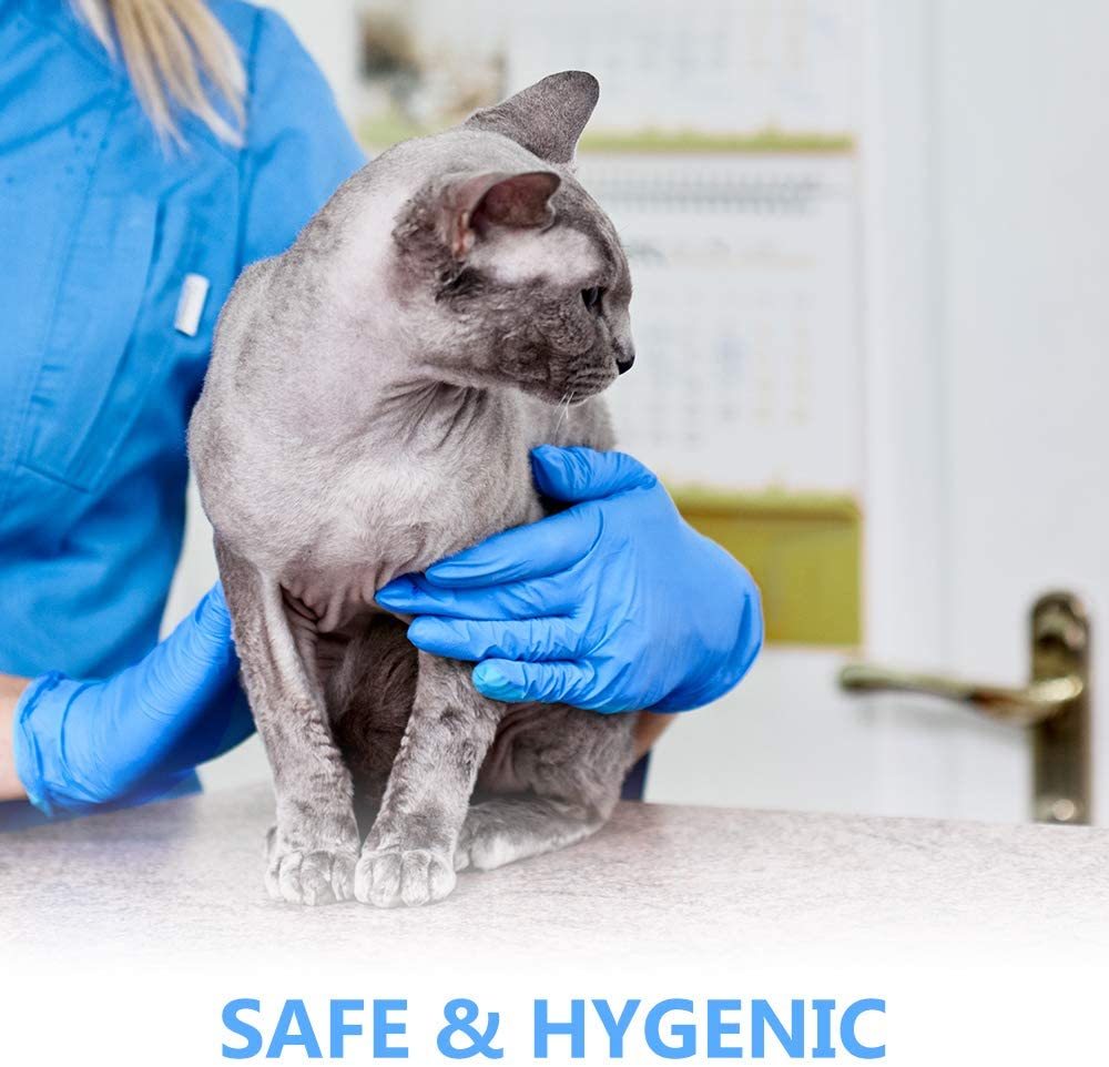 ADVANCE Blue Vinyl Gloves - Powder Free (4 Mil), 1,000 Gloves-Safety Glasses USA-3