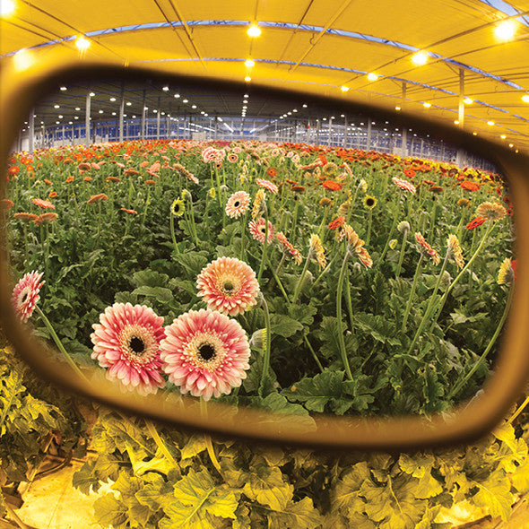 Method Seven Resistance 2 HPS Crystal Classic Grow Room Glasses