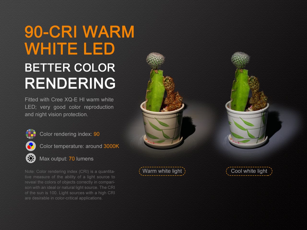 Fenix LD02 V2.0 EDC LED Penlight with UV Lighting - 70 Lumens-FX-LD02V2.0-Safety Glasses USA-12