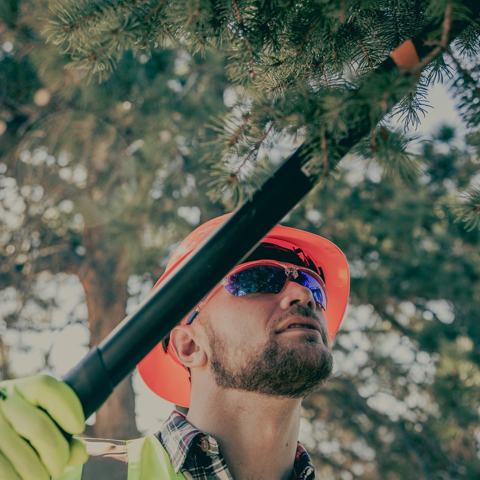 MCR Safety DM1320PF Dominator DM3 Safety Glasses Blue Clear Frame Clear MAX6 Anti-Fog Lenses worn by worker trimming tree branches