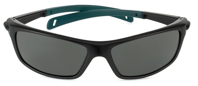 Bolle Baxter Safety Glasses with Black Frame and Polarized Smoke Lens - Front View