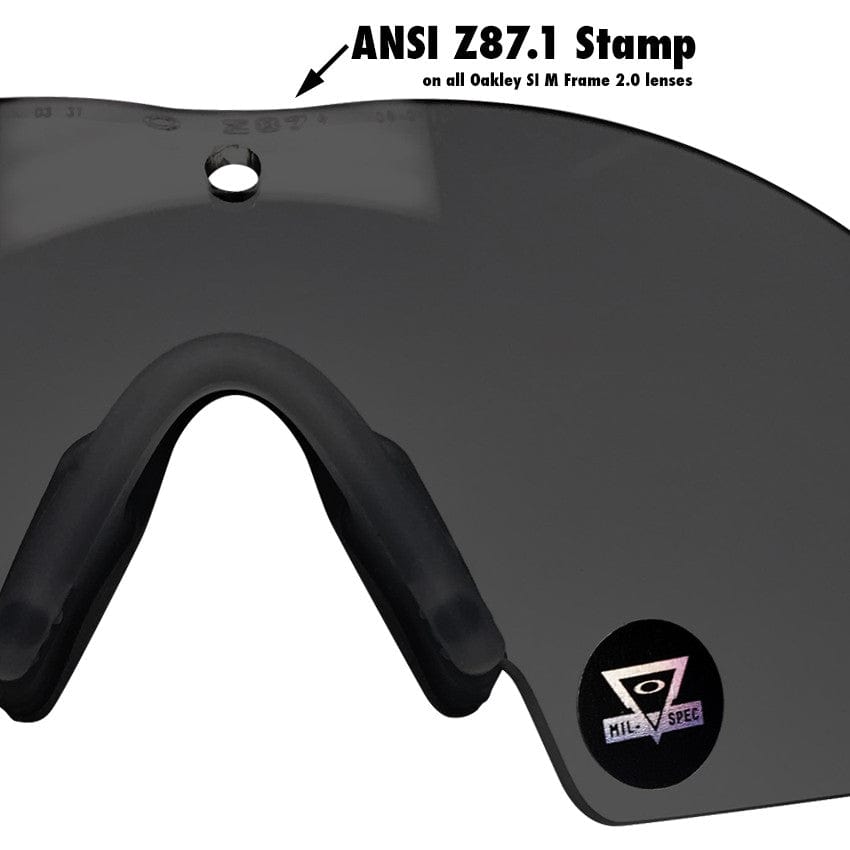 oakley si ballistic 2.0 goggles Oakley SI Ballistic M Frame 2.0 Strike ANSI Z87.1 Stamped Black with Grey Anti-Fog Lens